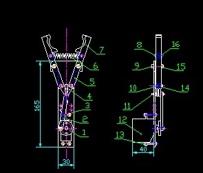 �Cе������cad�D��