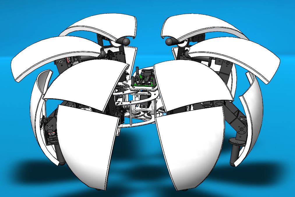 ׃������̽�y�C�������S�D