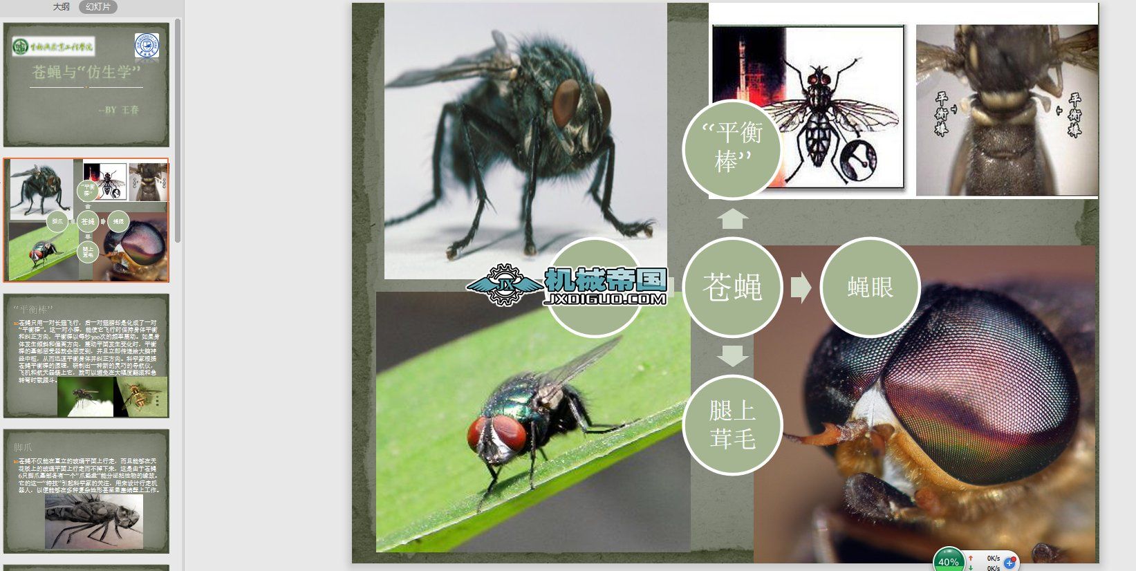 �nω�ķ���