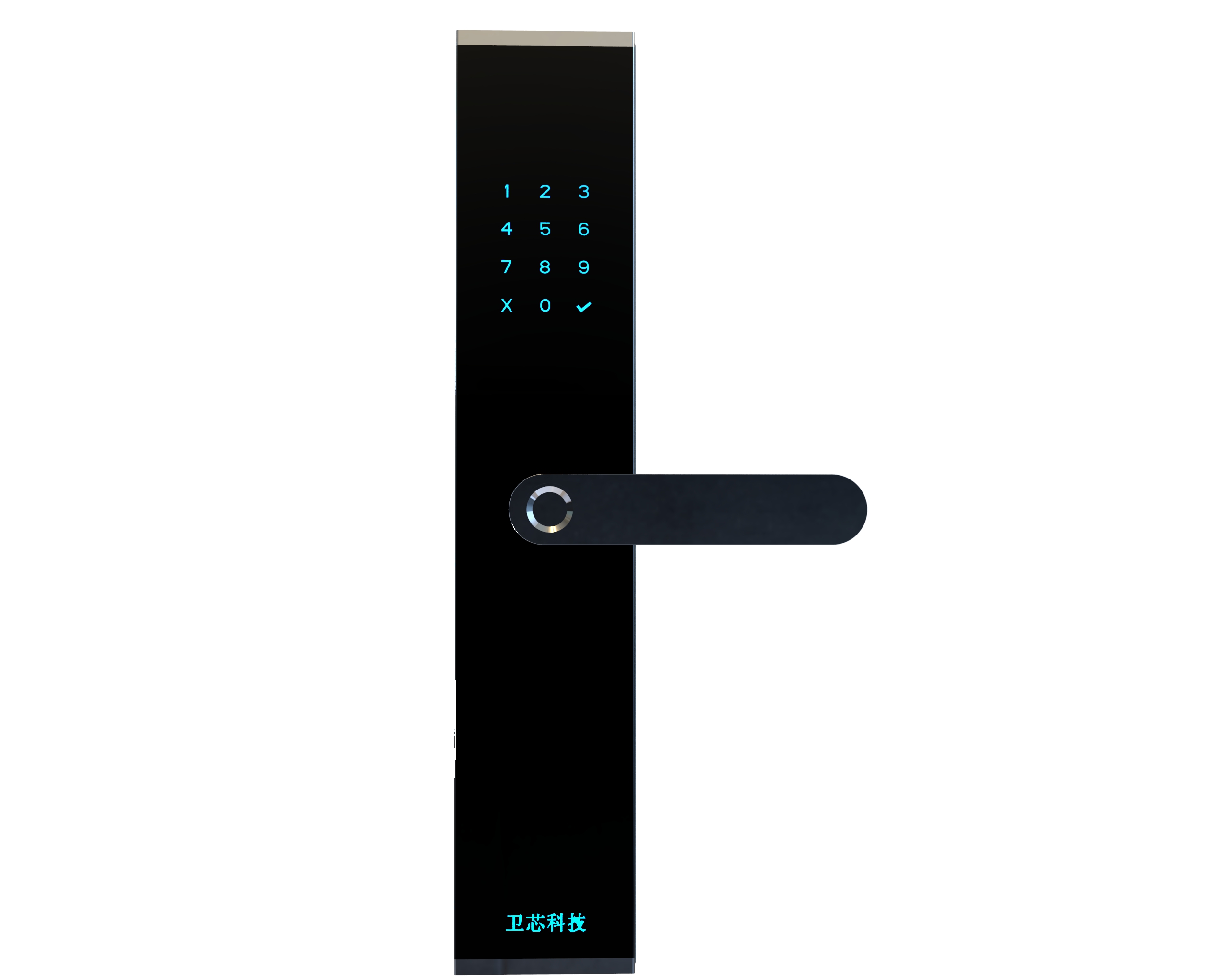 �����T�i���S�D