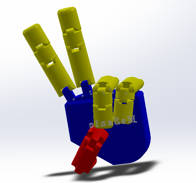 �C�����ֲ�ģ��