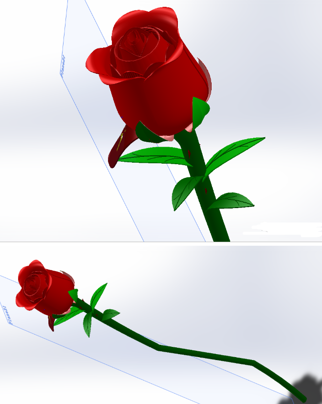 һֻRoseõ�廨3D��(sh��)ģ�D�� Solidworks�O(sh��)Ӌ