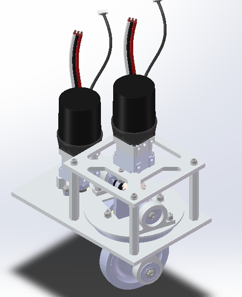 �C�����D�����S�Y���D