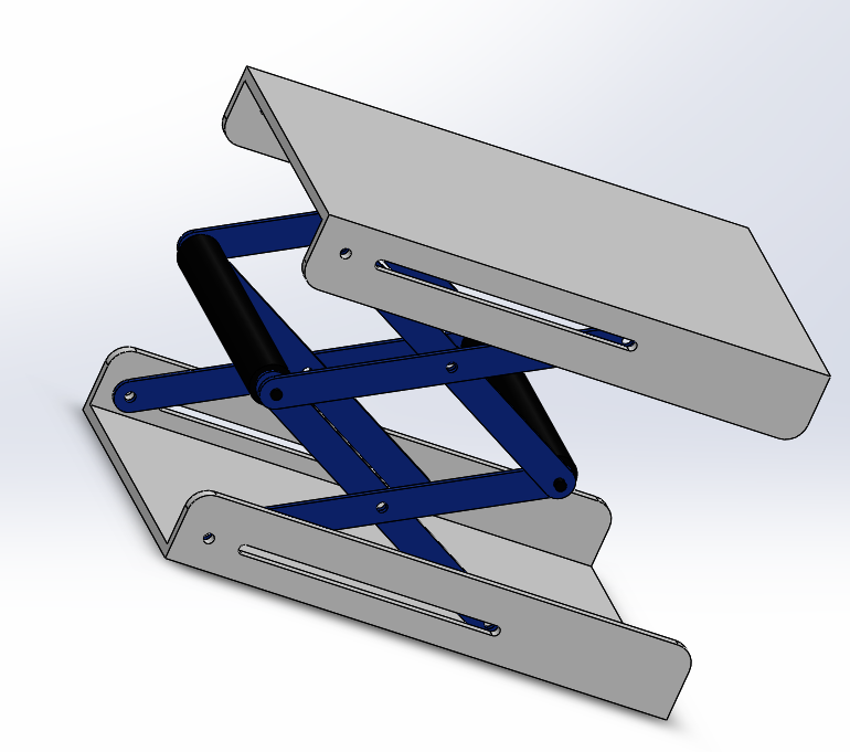 �����C�����S�׈D