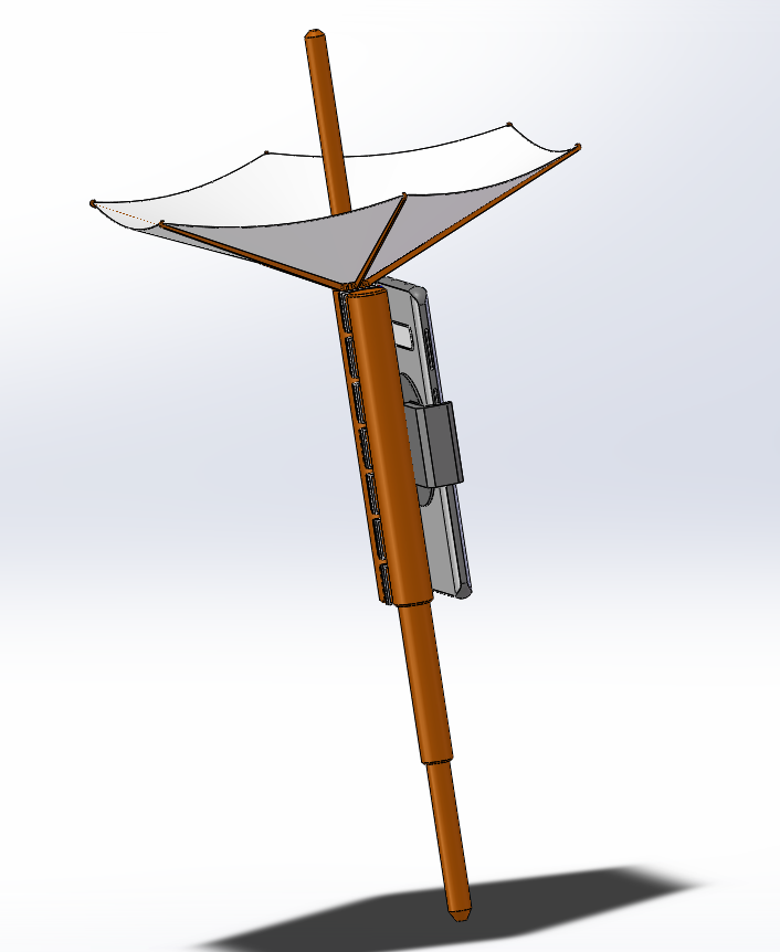 �_�_�֙C�����