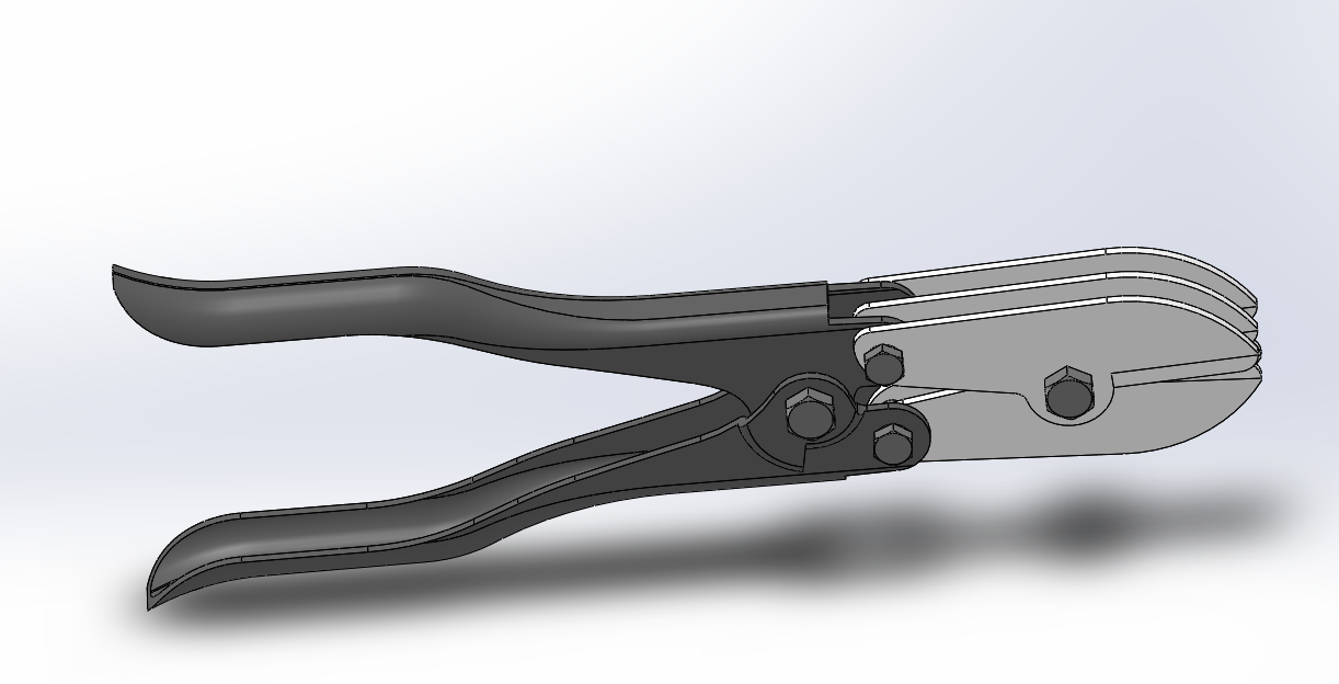 �����Q���S�D