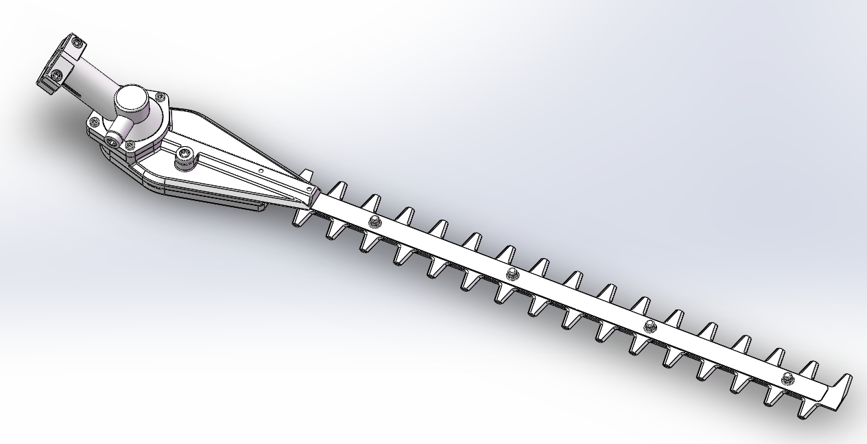 �Cе�������S�D