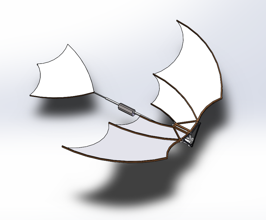 ���������w�C